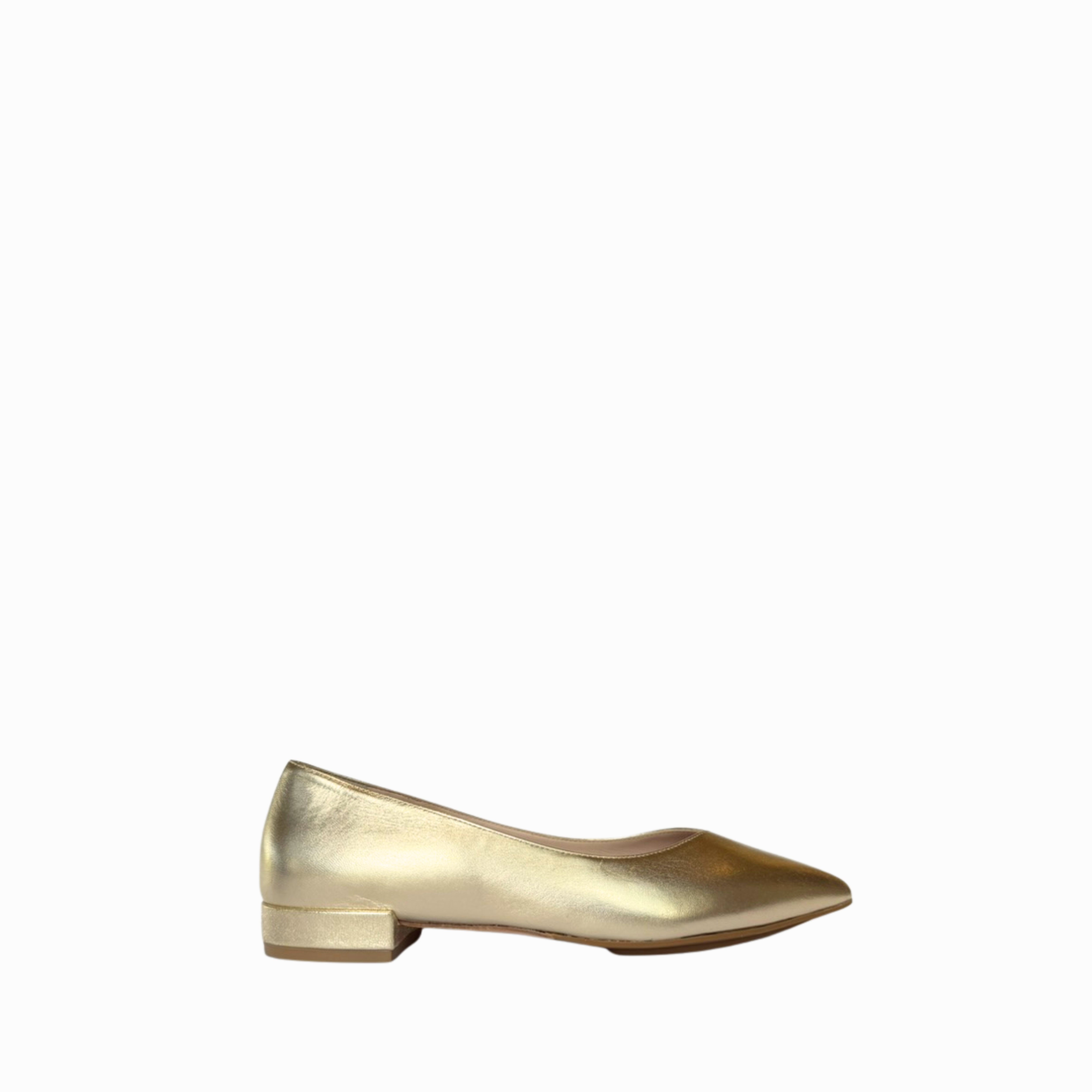 SC Brigid Ballet