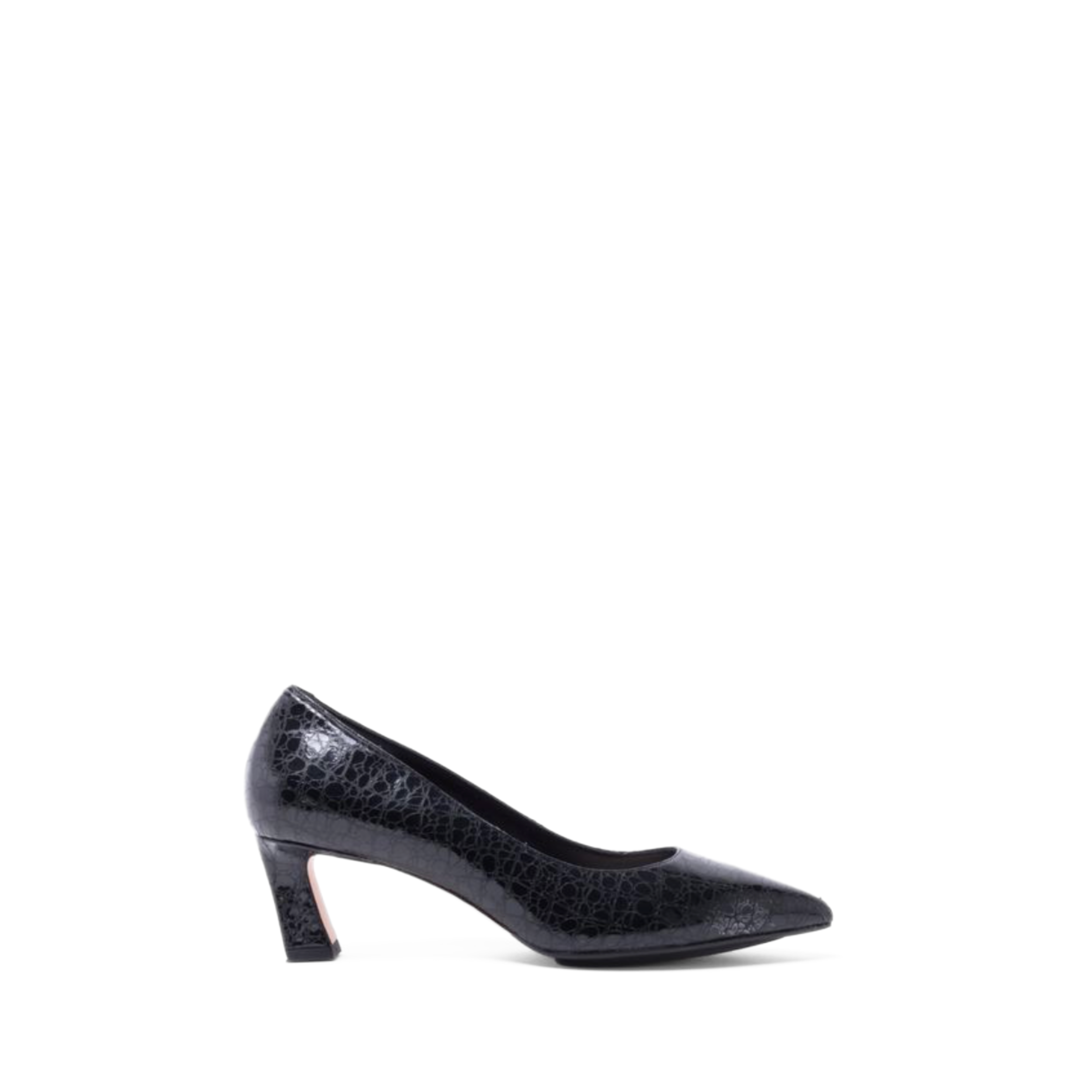 SC Amore 55 Pump