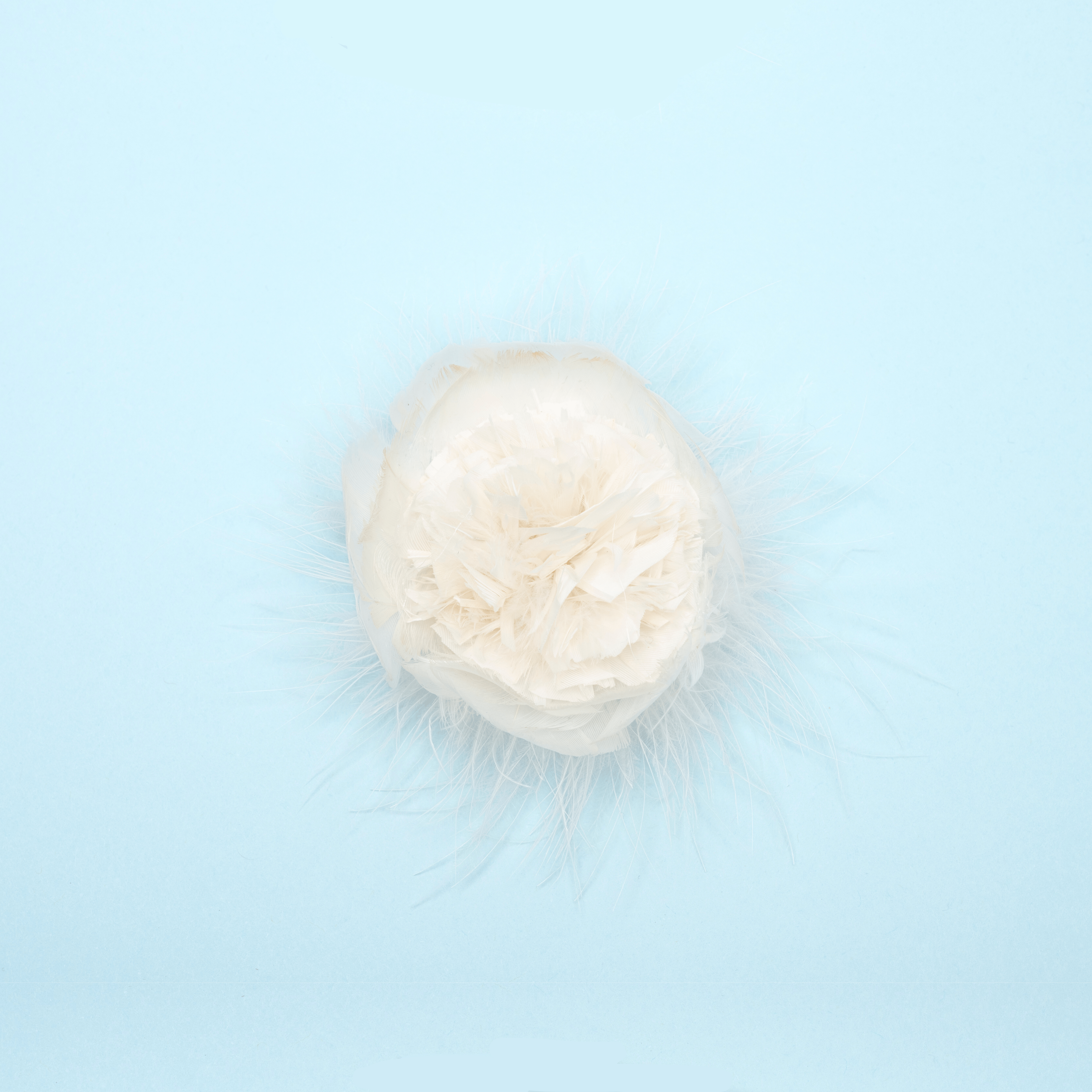 Carina Floret - Scarlett Chase®