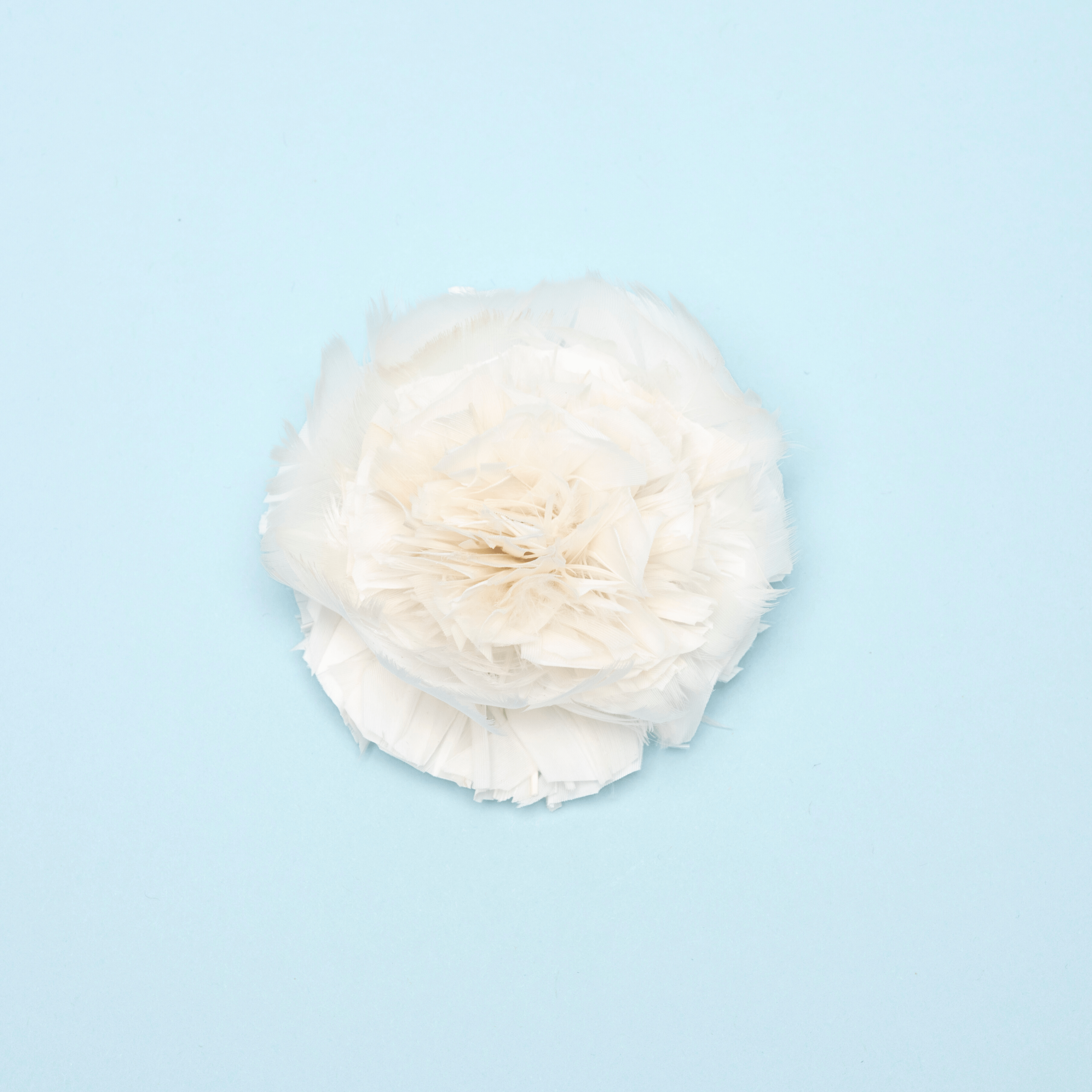 Chantelle Floret - Scarlett Chase®