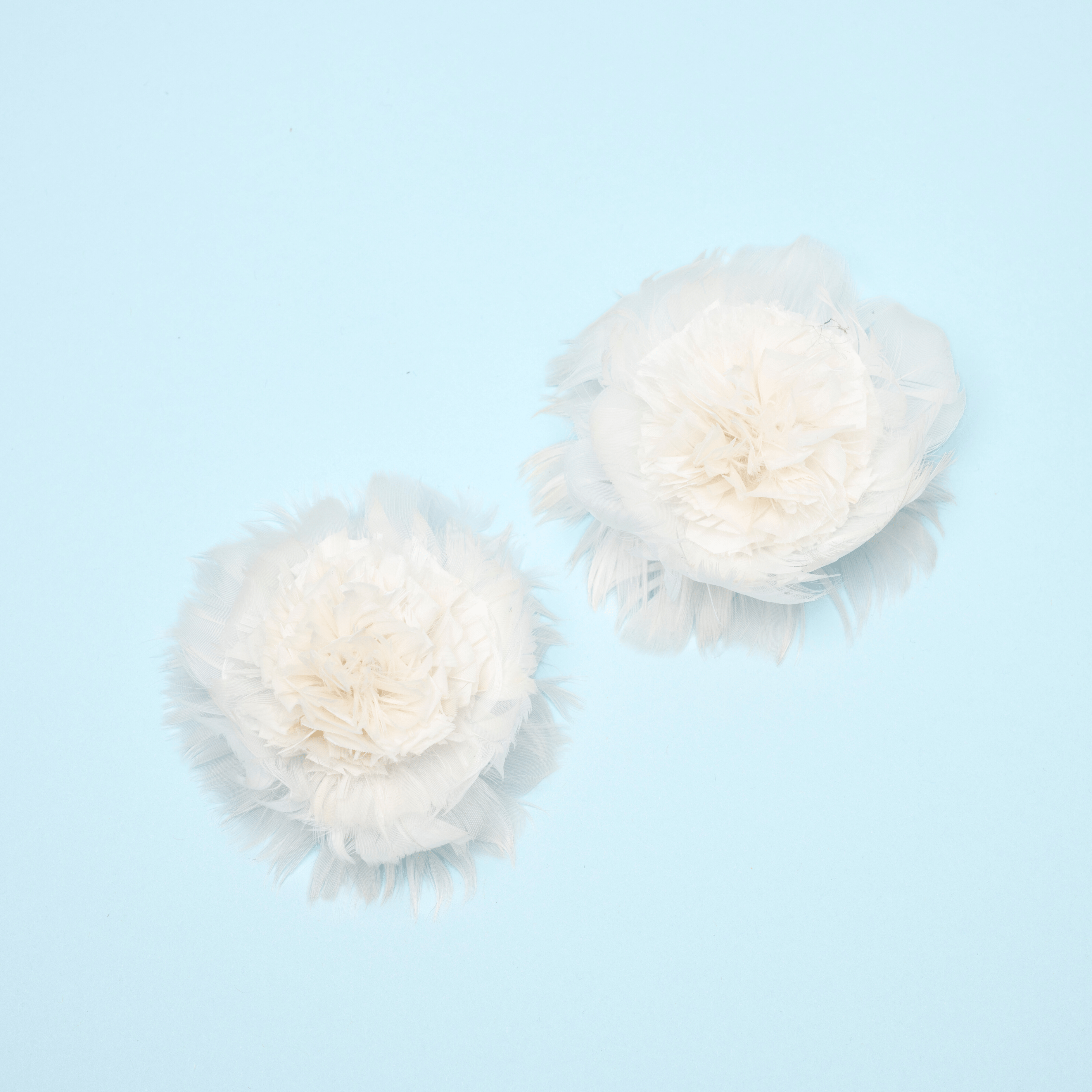 Cosima Floret - Scarlett Chase®