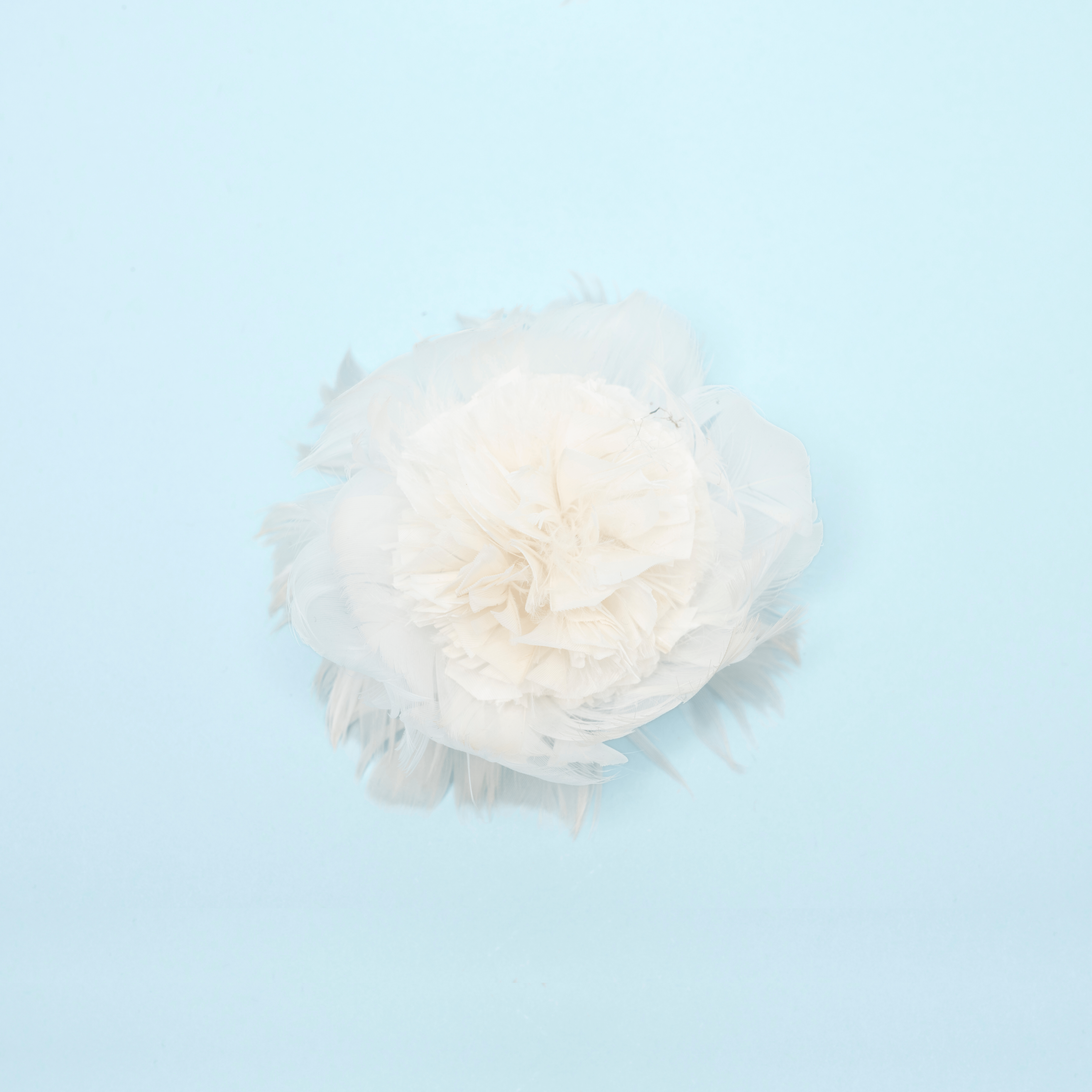 Cosima Floret - Scarlett Chase®