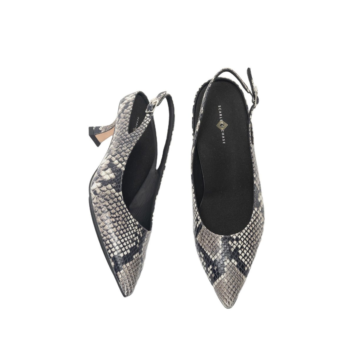 Scarlett Chase embossed leather gray python Renee 55 Slingback with a stable, sculpted heel and an adjustable backstrap buckle | Pair shown overhead heel to toe with right shoe laying on left side on white background