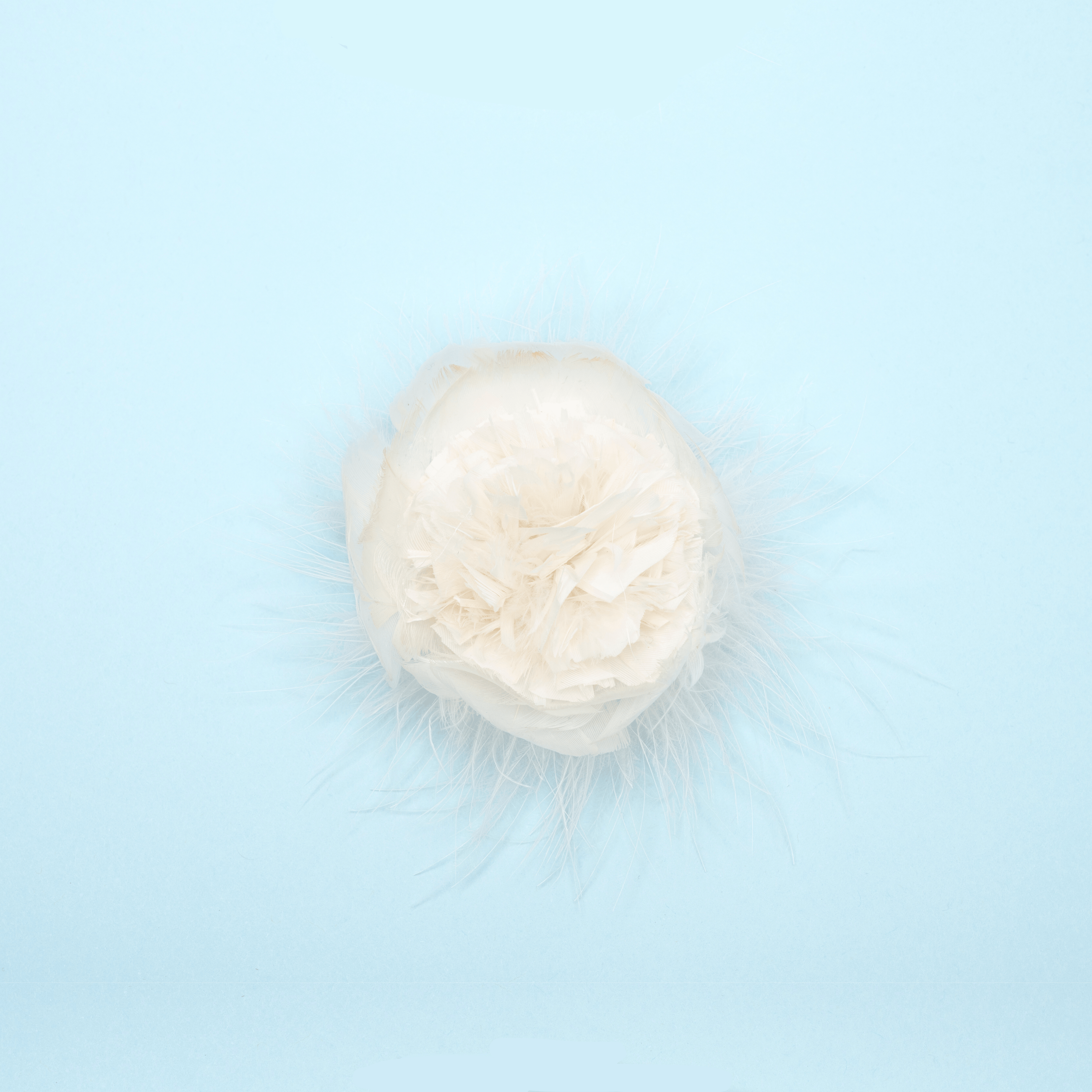 Carina Floret - Scarlett Chase®