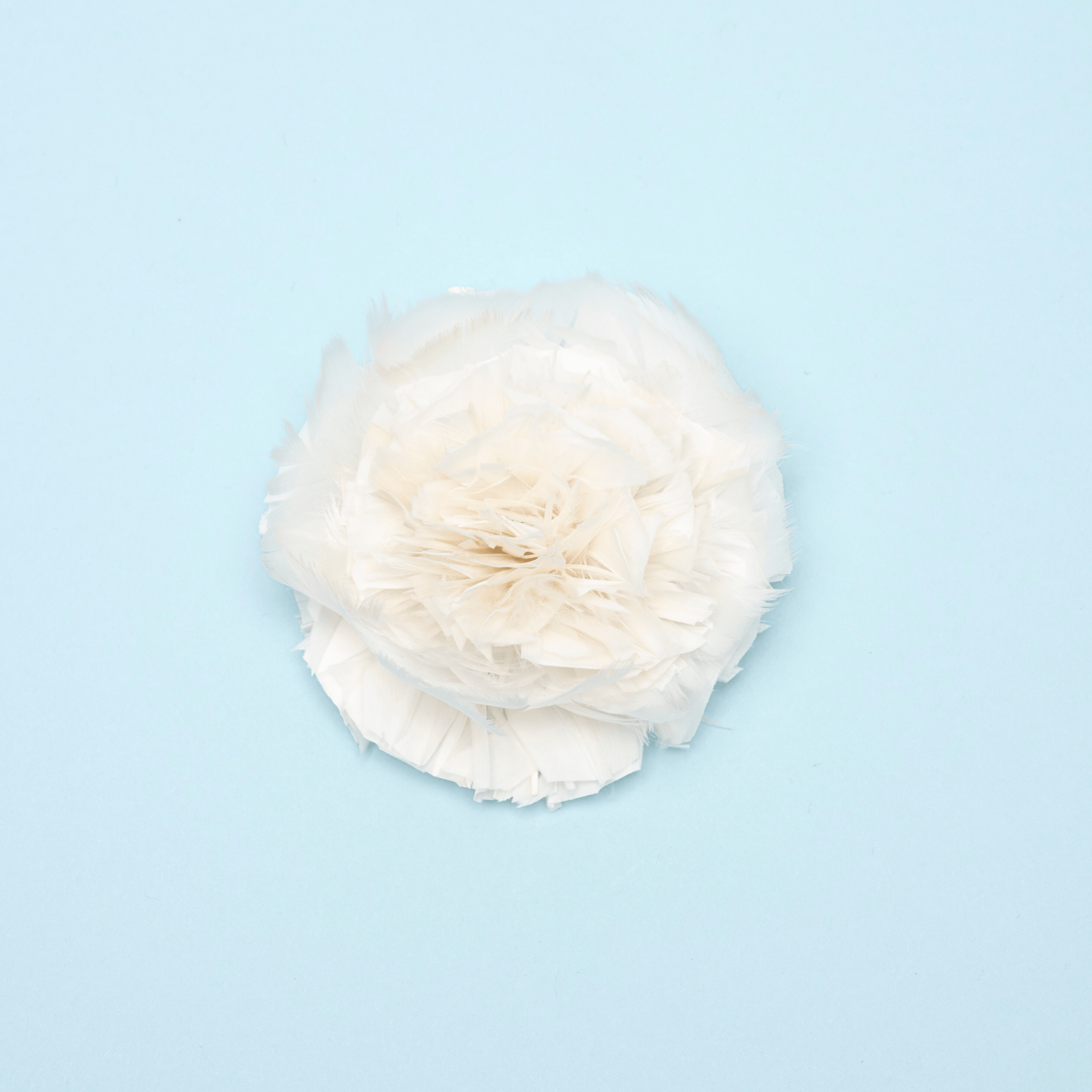 Chantelle Floret - Scarlett Chase®
